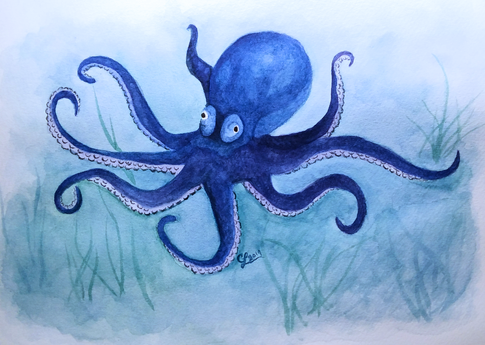2019OctopusJune1