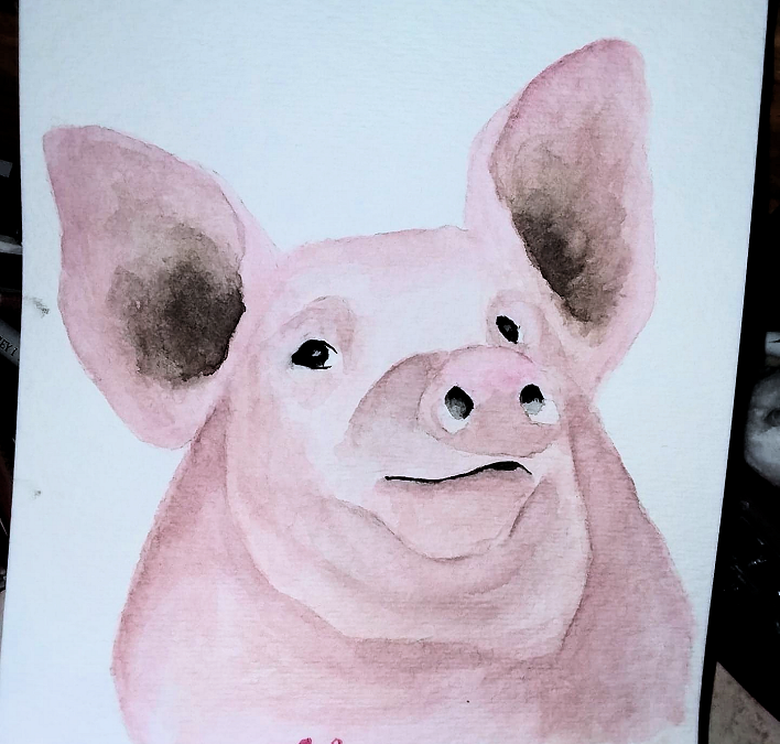 2019Pig1