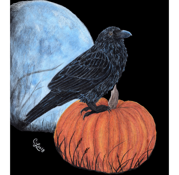 Halloween Raven